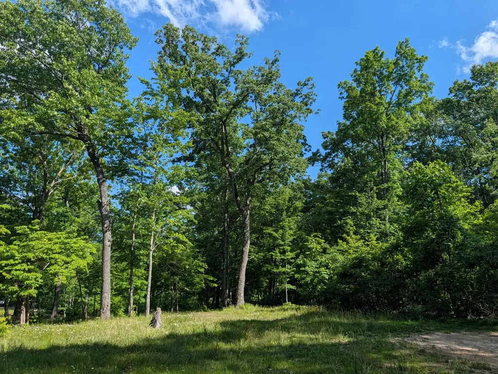 9495 Red Oak Lane Spring City TN 37381