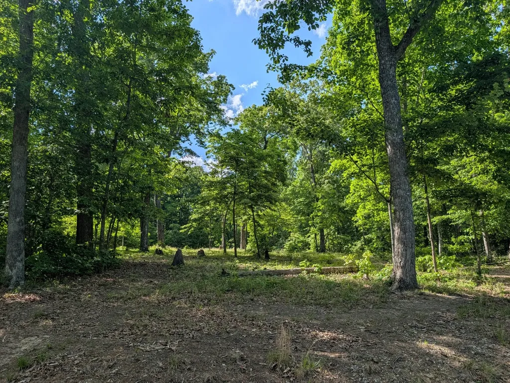 9495 Red Oak Lane Spring City TN 37381