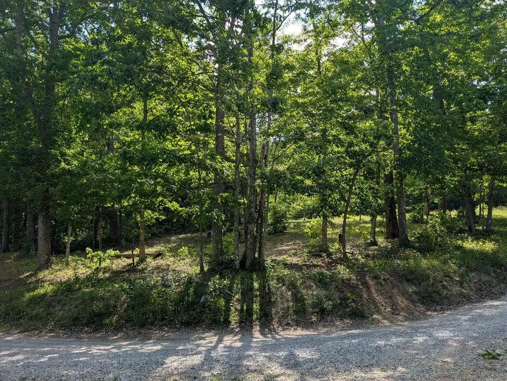 9495 Red Oak Lane Spring City TN 37381