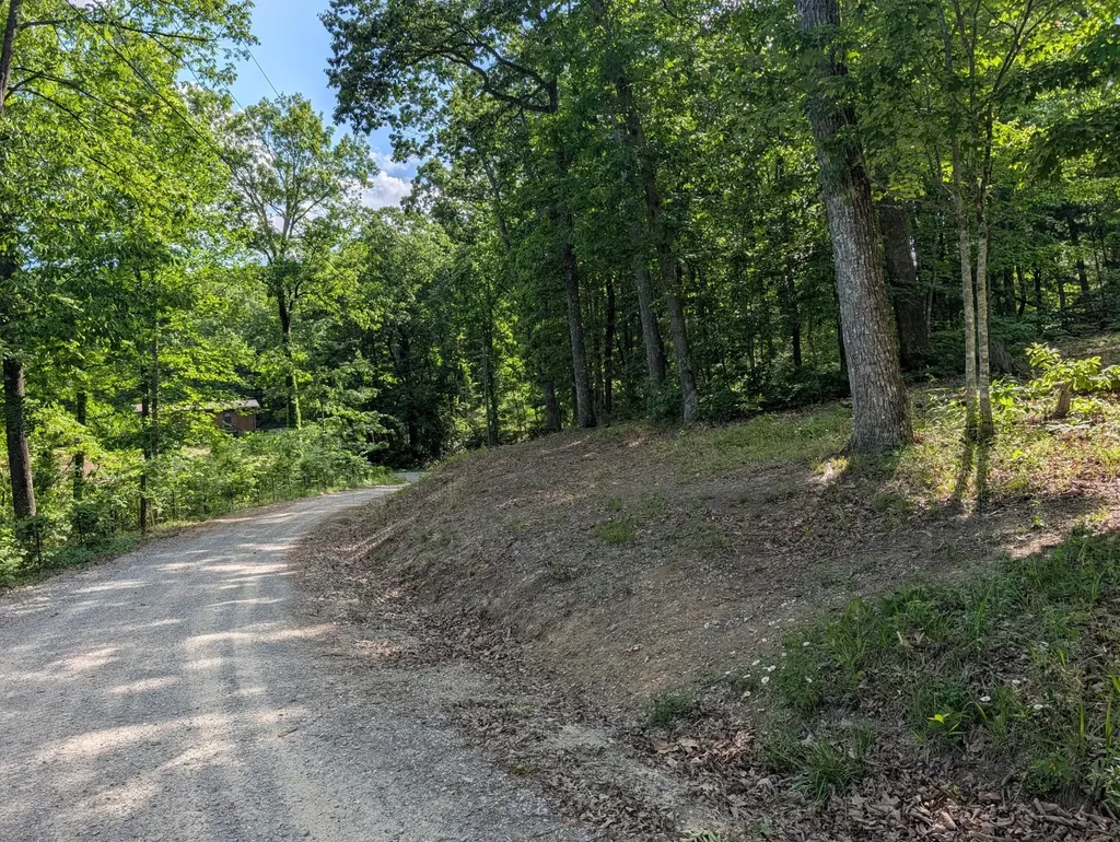 9495 Red Oak Lane Spring City TN 37381