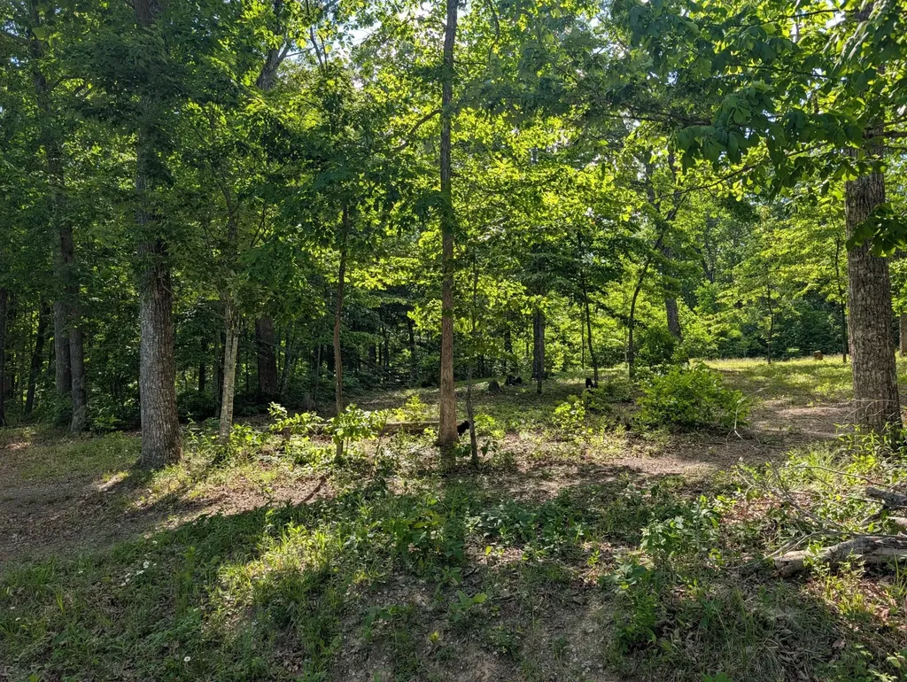 9495 Red Oak Lane Spring City TN 37381