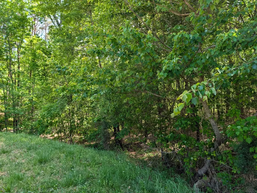 135 Garren Hart Lane Spring City TN 37381