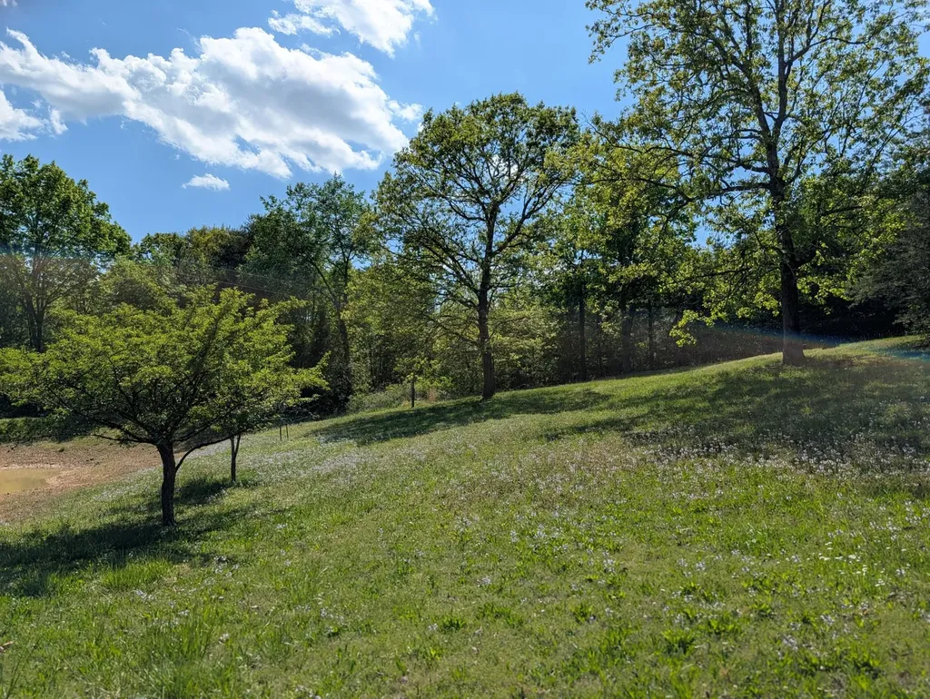 135 Garren Hart Lane Spring City TN 37381