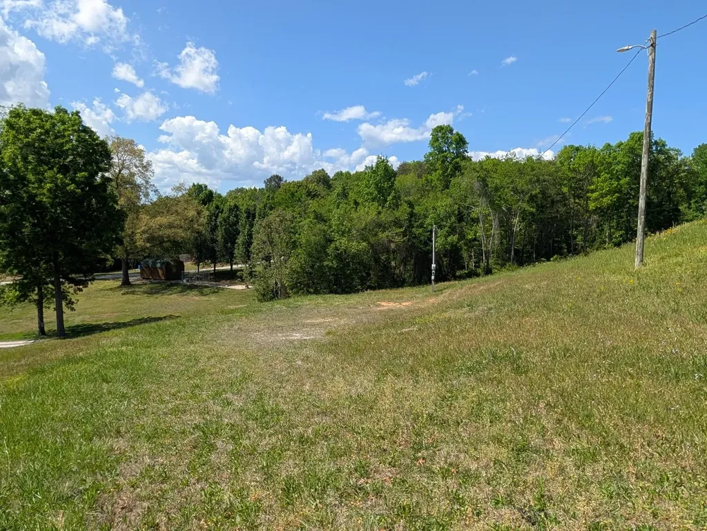 135 Garren Hart Lane Spring City TN 37381