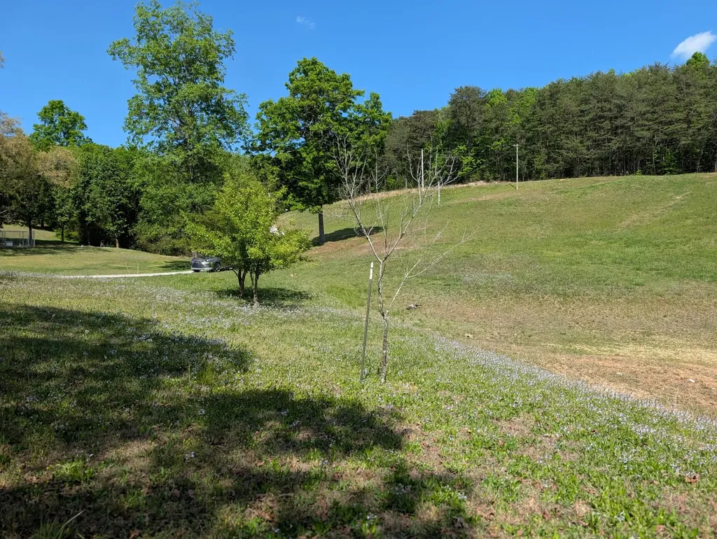 135 Garren Hart Lane Spring City TN 37381