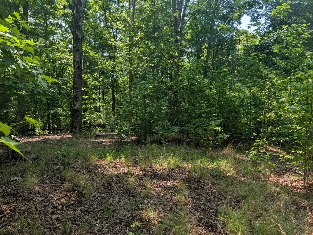 190 Fawnwood Drive Spring City TN 37381