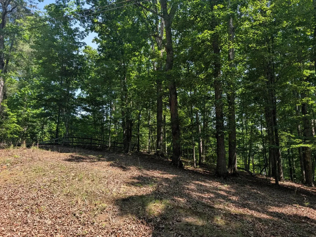 190 Fawnwood Drive Spring City TN 37381