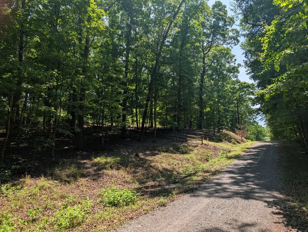 190 Fawnwood Drive Spring City TN 37381