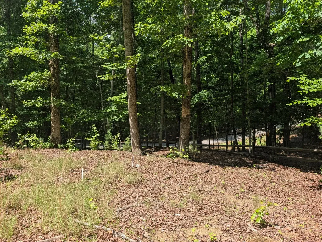 190 Fawnwood Drive Spring City TN 37381