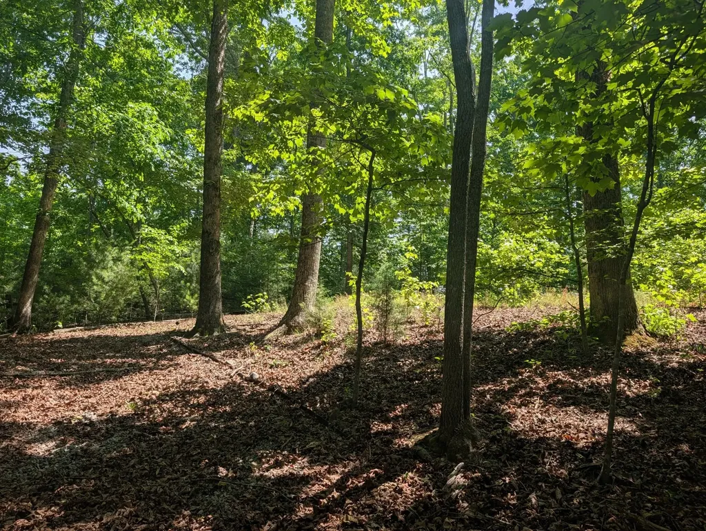 190 Fawnwood Drive Spring City TN 37381