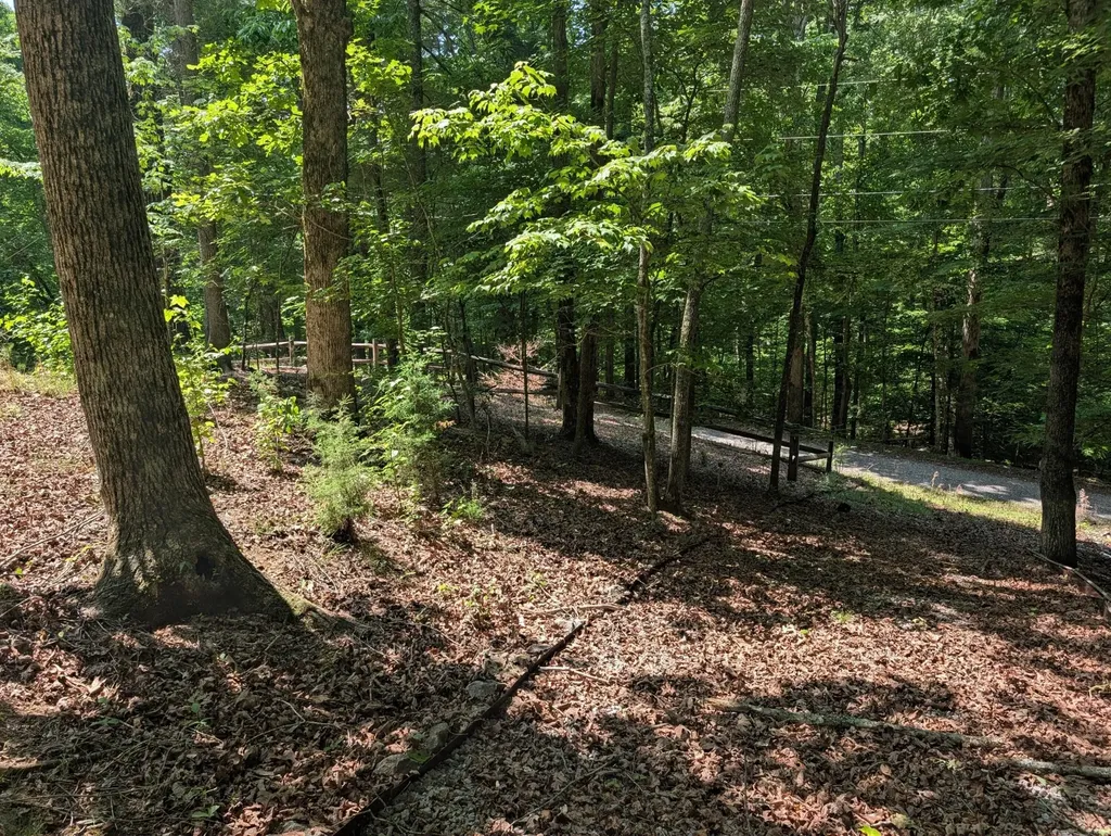 190 Fawnwood Drive Spring City TN 37381