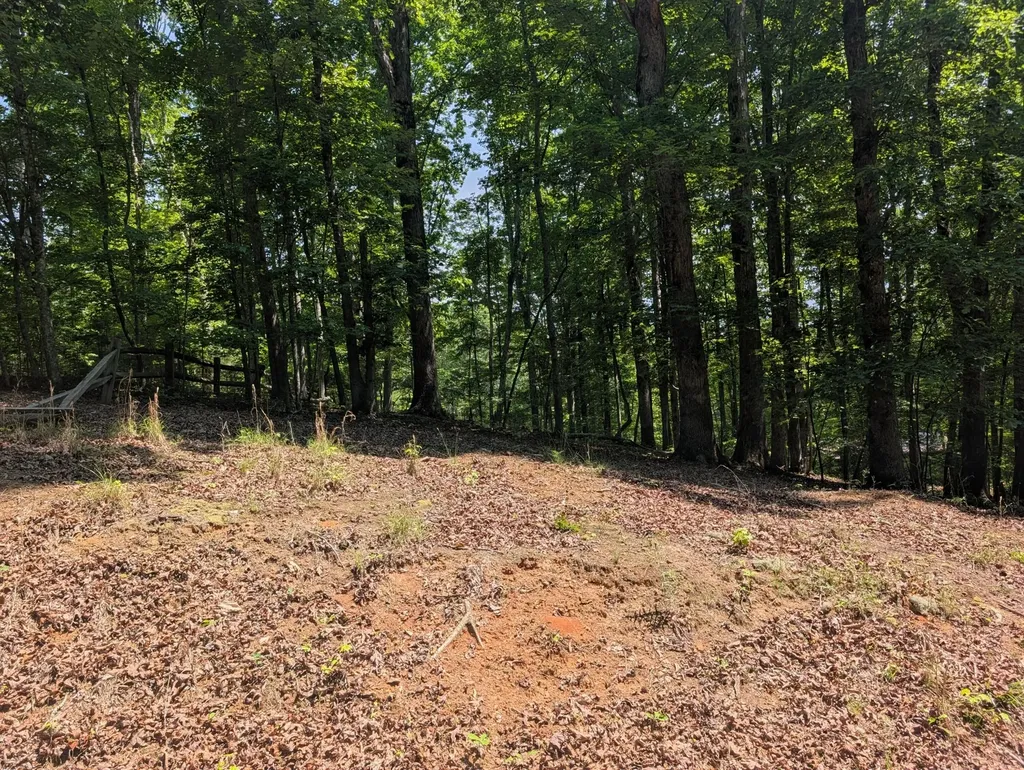 190 Fawnwood Drive Spring City TN 37381
