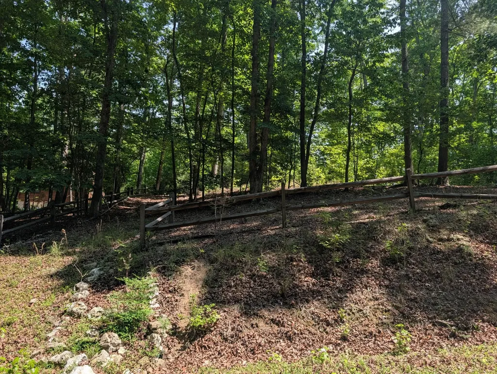 190 Fawnwood Drive Spring City TN 37381
