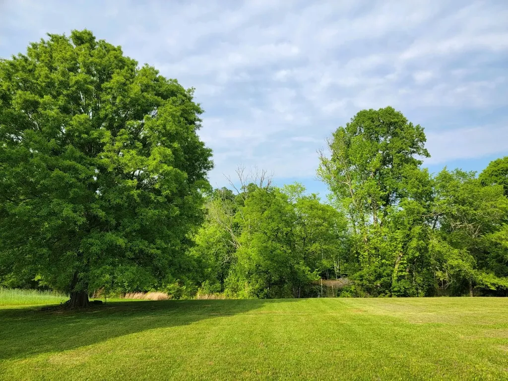 0 Scoggins Lane Dayton TN 37321