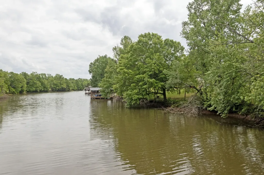 0 Scoggins Lane Dayton TN 37321