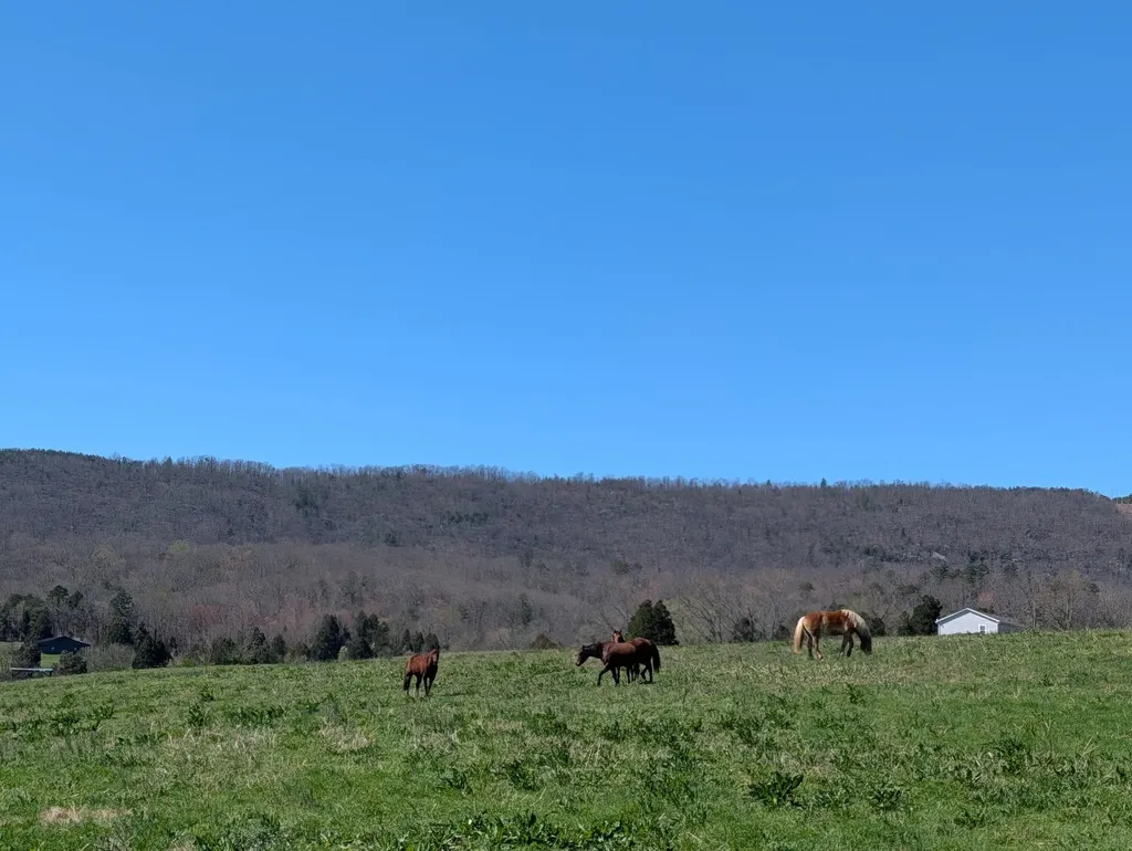 4637 Ideal Valley Road Spring City TN 37381