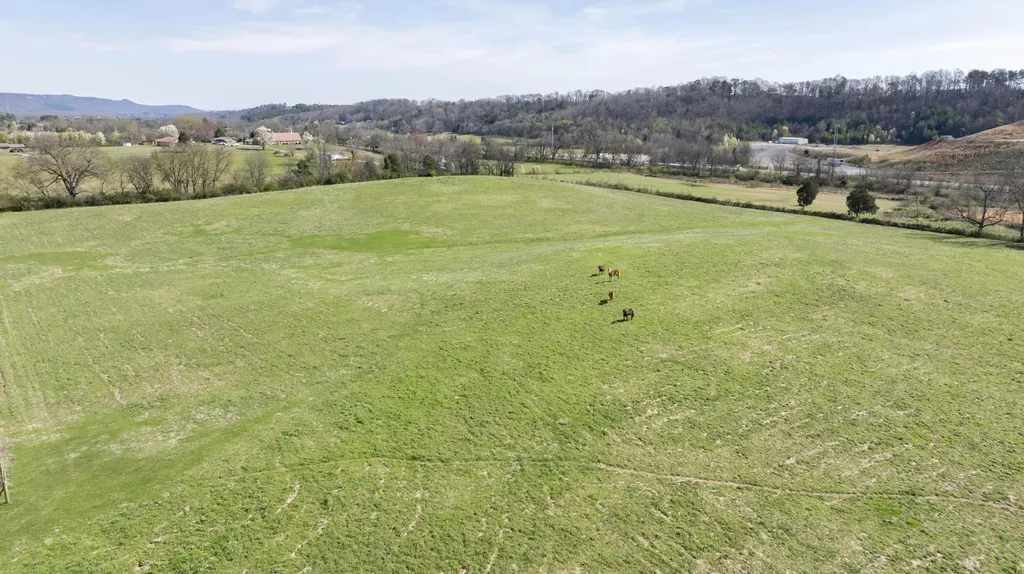 4637 Ideal Valley Road Spring City TN 37381