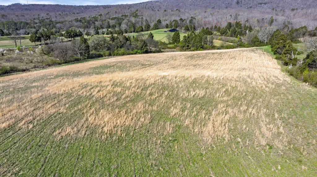 4637 Ideal Valley Road Spring City TN 37381
