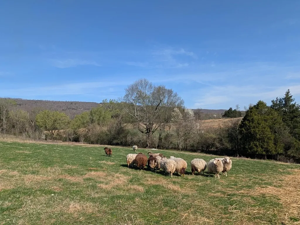 4637 Ideal Valley Road Spring City TN 37381