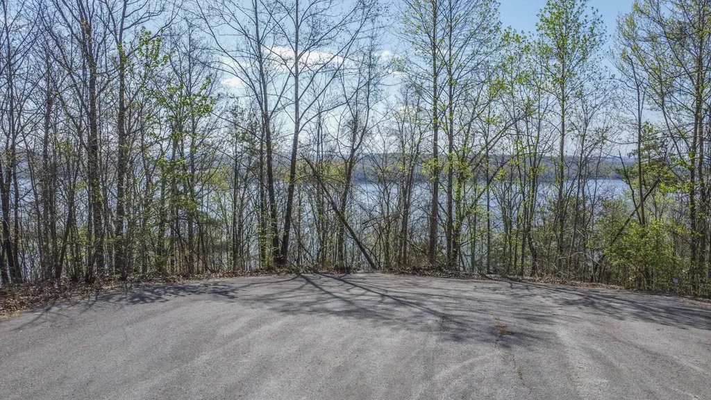 106 Eerie Point Rockwood TN 37854
