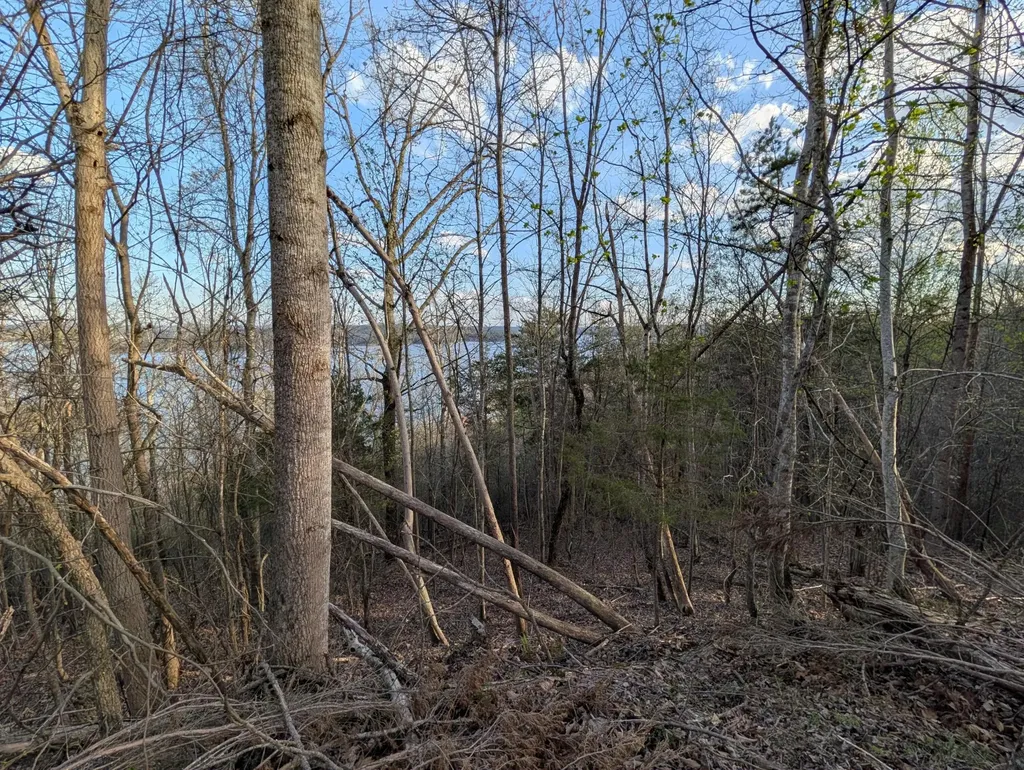 106 Eerie Point Rockwood TN 37854