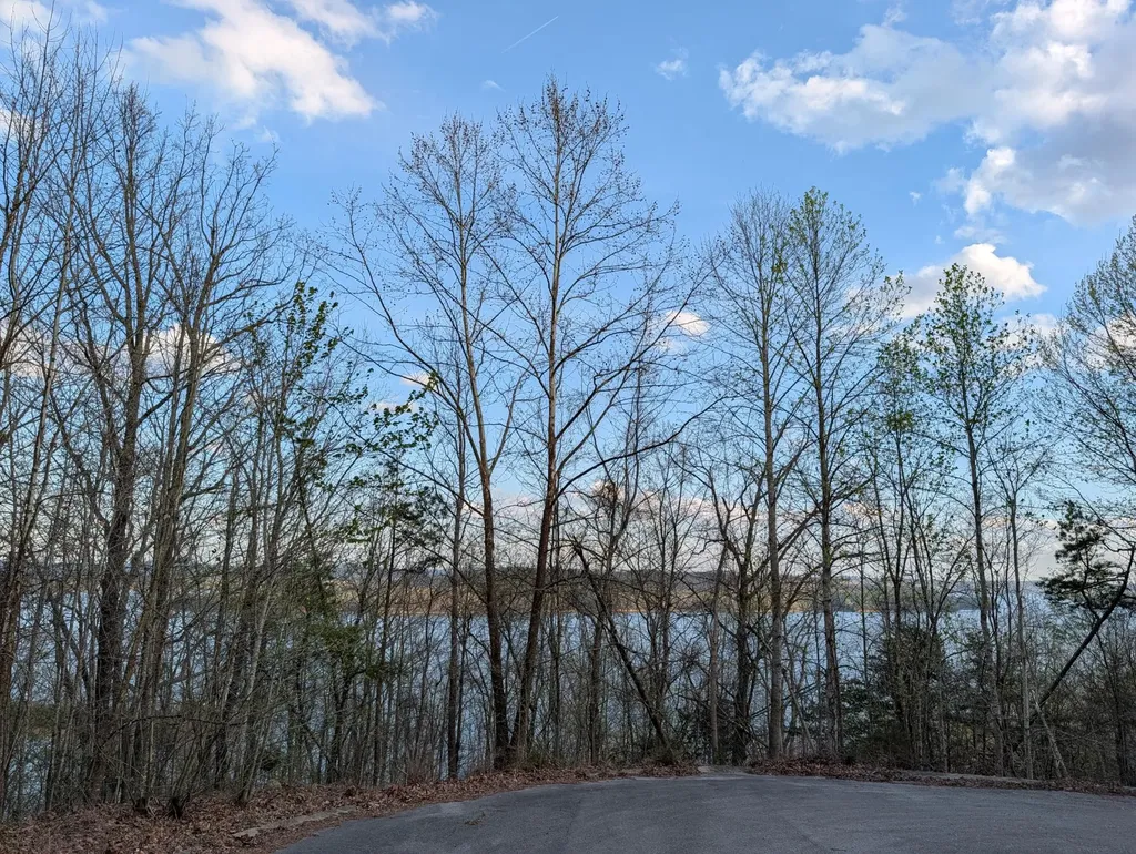 106 Eerie Point Rockwood TN 37854