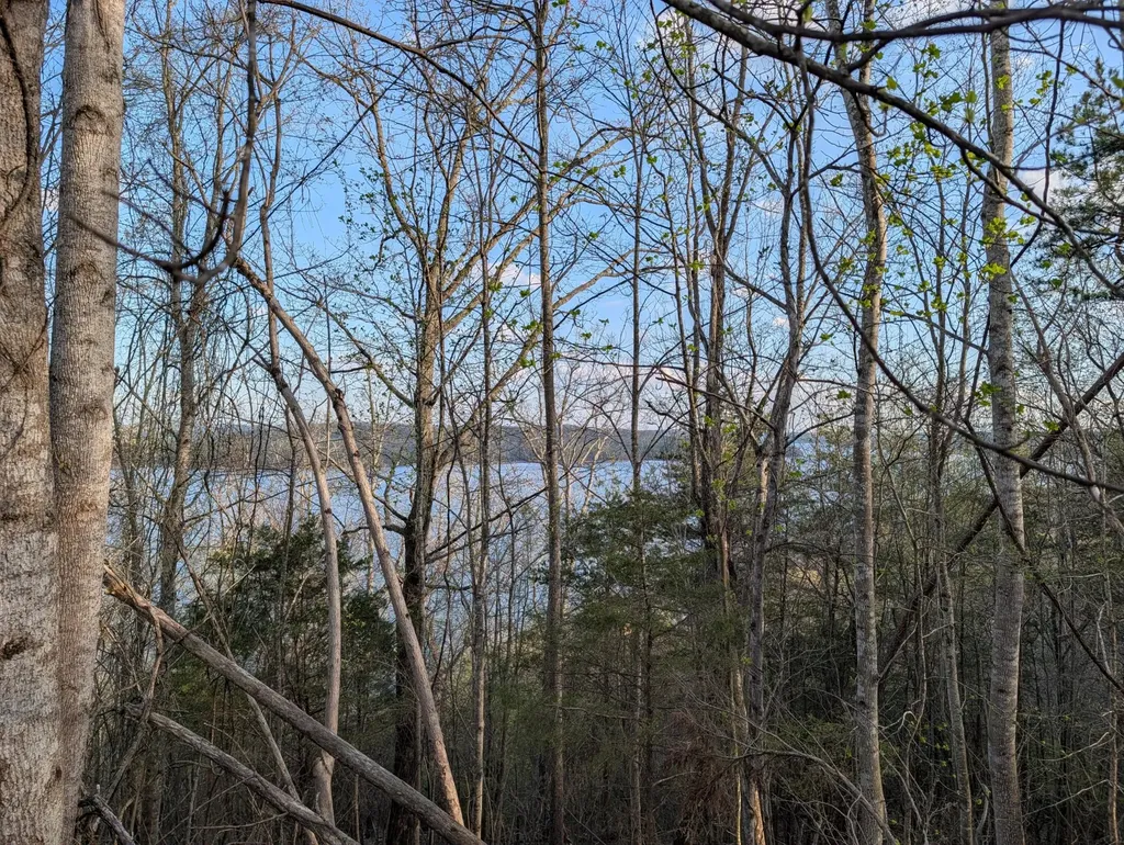 106 Eerie Point Rockwood TN 37854