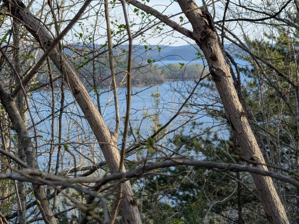 106 Eerie Point Rockwood TN 37854