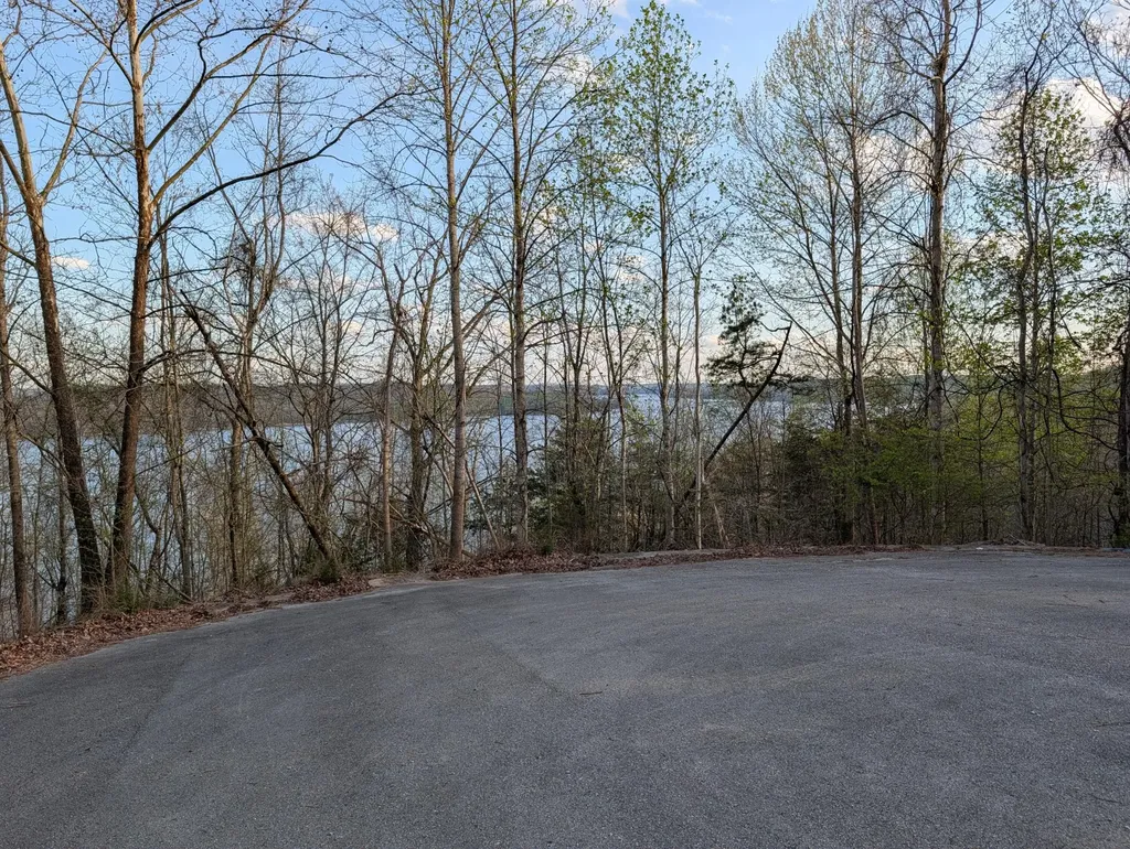 106 Eerie Point Rockwood TN 37854