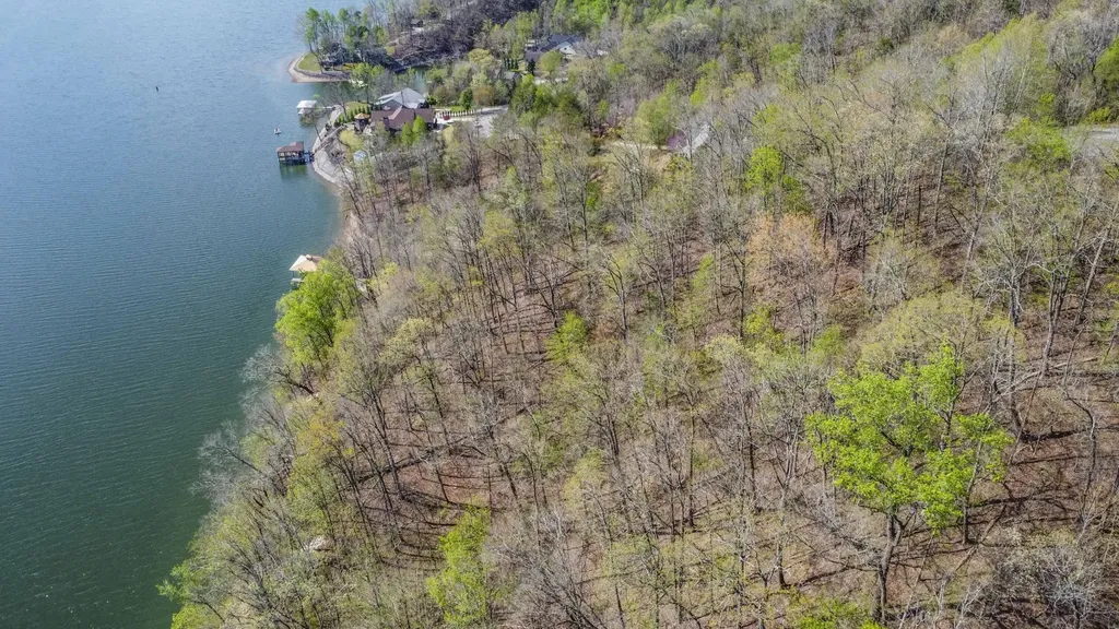 106 Eerie Point Rockwood TN 37854