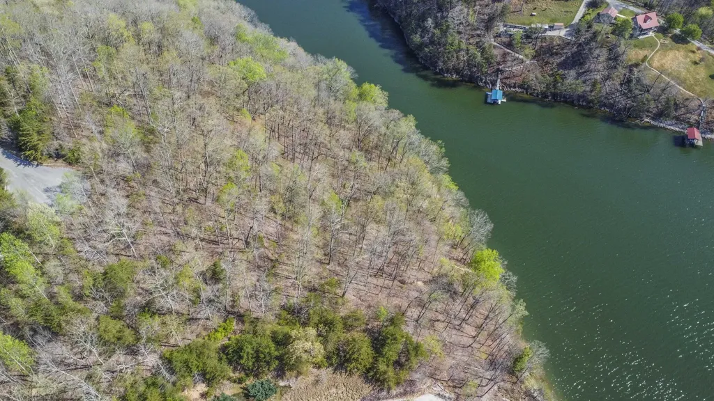 106 Eerie Point Rockwood TN 37854
