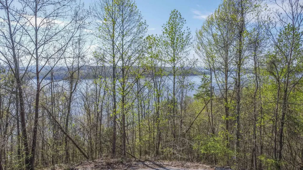 106 Eerie Point Rockwood TN 37854