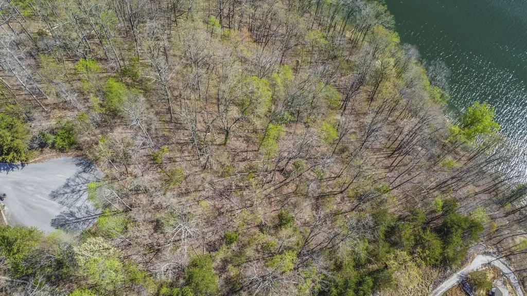 106 Eerie Point Rockwood TN 37854