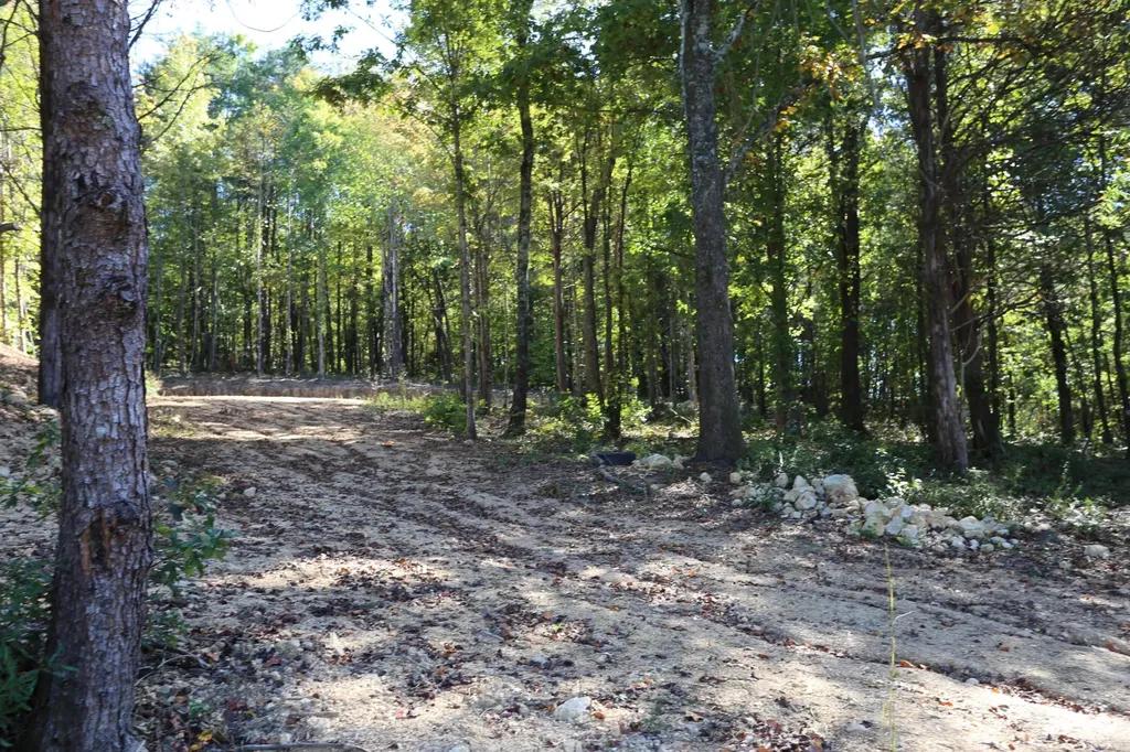 26954 Rhea County Hwy Highway Spring City TN 37381