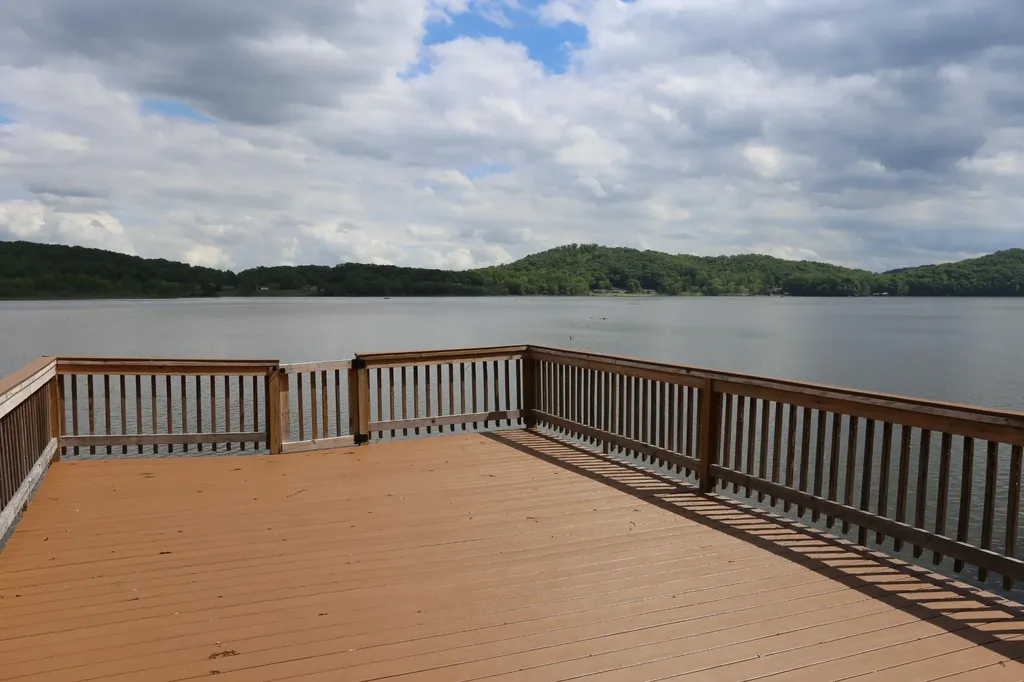 115 Dabbs Drive Spring City TN 37381