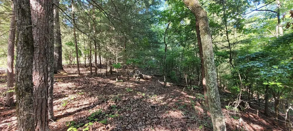 123 Dogwood Court Spring City TN 37381