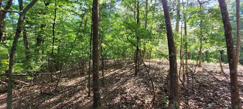 123 Dogwood Court Spring City TN 37381