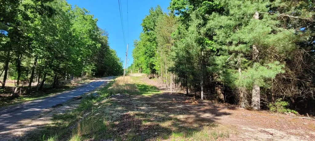 123 Dogwood Court Spring City TN 37381