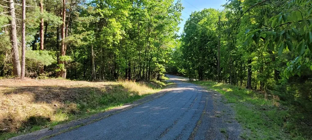 123 Dogwood Court Spring City TN 37381