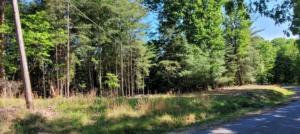 123 Dogwood Court Spring City TN 37381