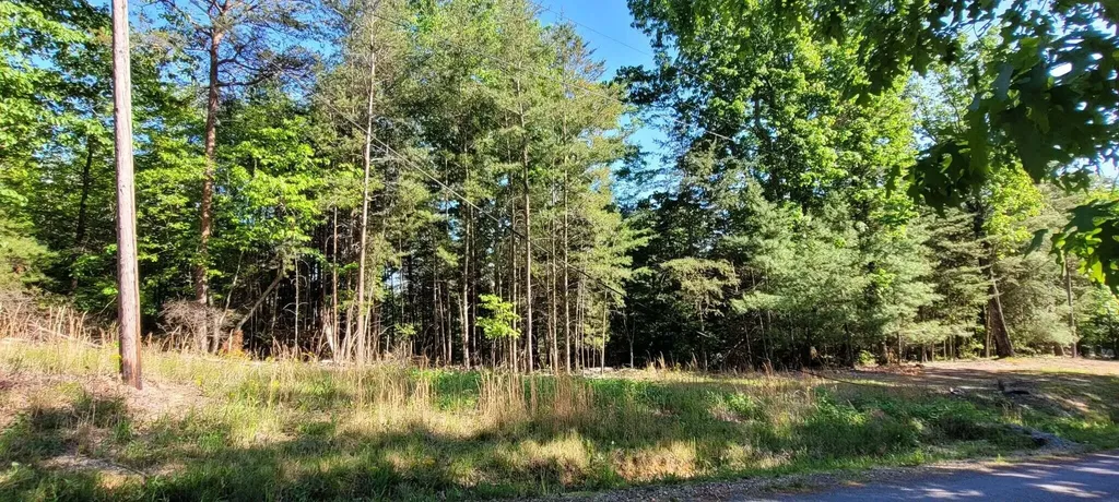 123 Dogwood Court Spring City TN 37381