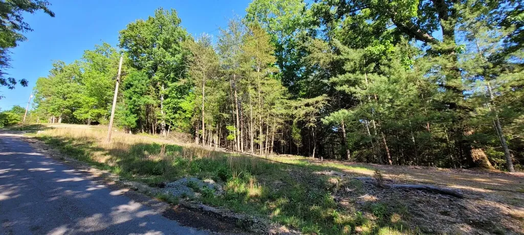 123 Dogwood Court Spring City TN 37381