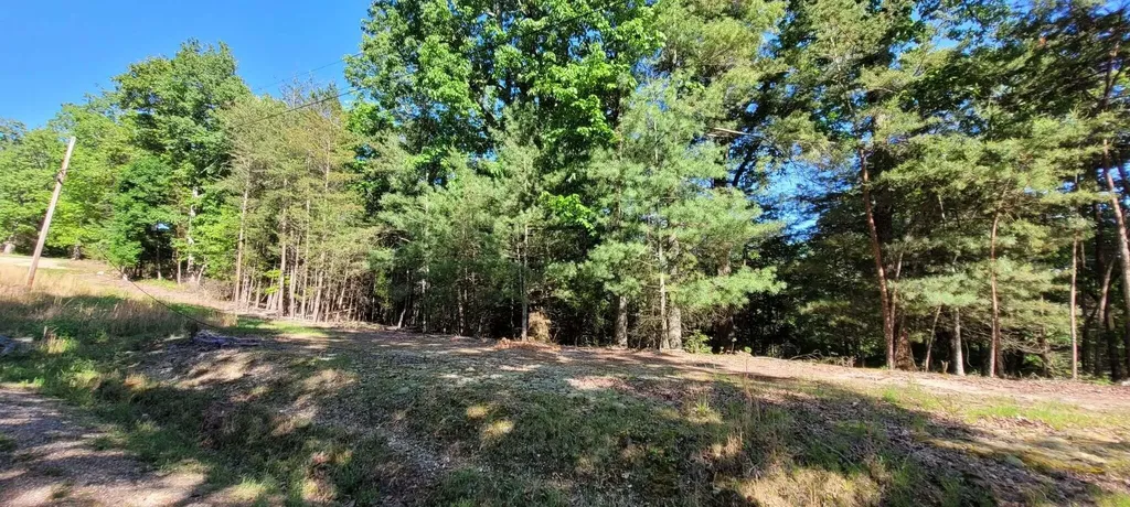123 Dogwood Court Spring City TN 37381