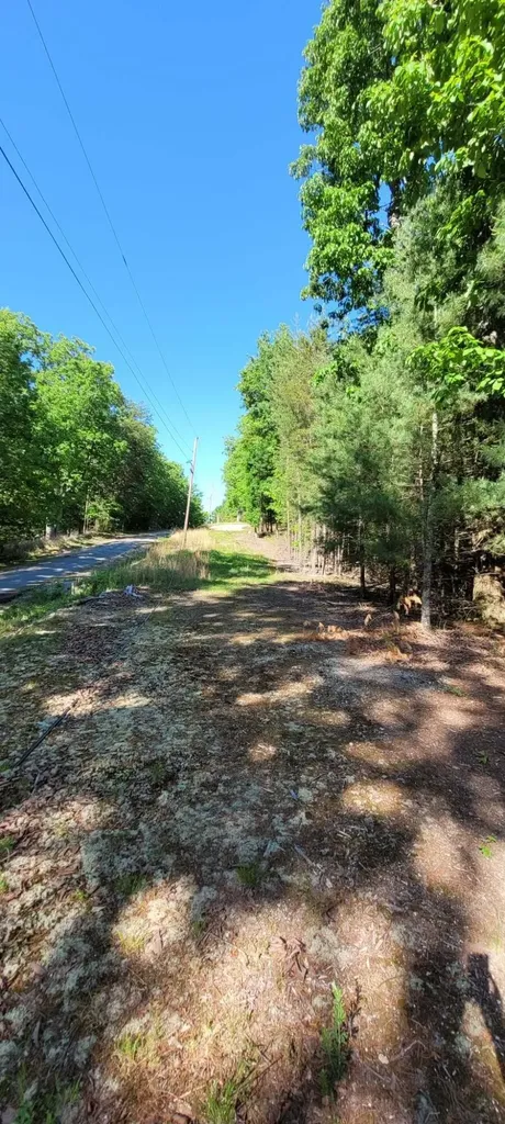 123 Dogwood Court Spring City TN 37381