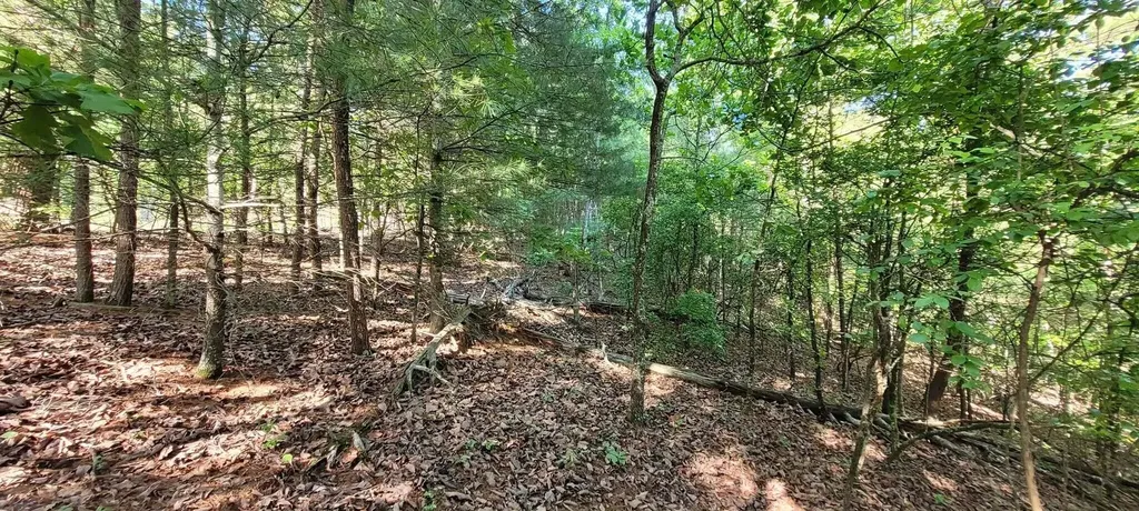 123 Dogwood Court Spring City TN 37381