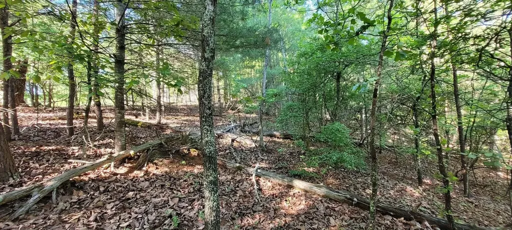 123 Dogwood Court Spring City TN 37381