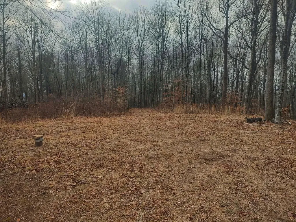 654 Briley Road Spring City TN 37381