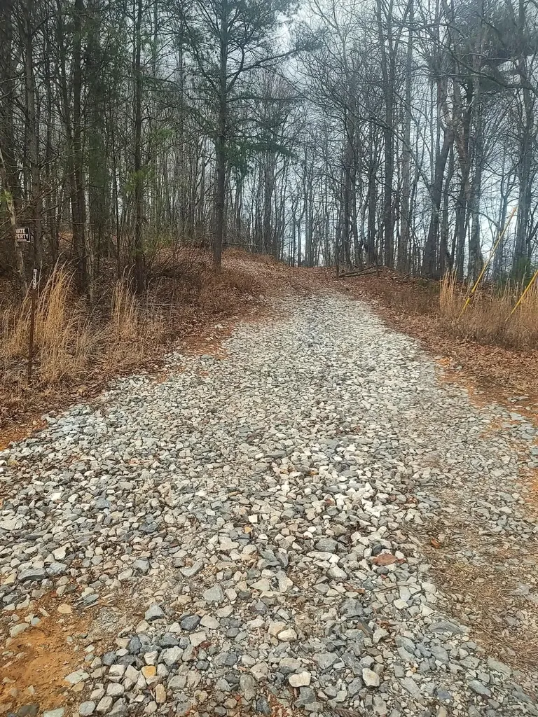 654 Briley Road Spring City TN 37381