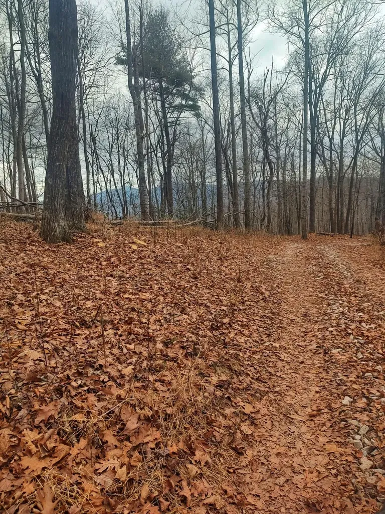 654 Briley Road Spring City TN 37381