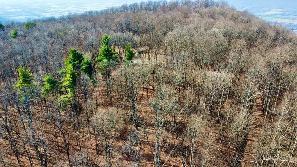 654 Briley Road Spring City TN 37381